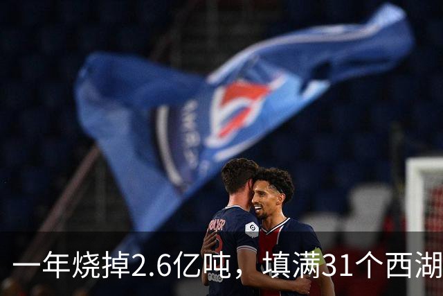 一年烧掉2.6亿吨,填满31个西湖!中国的垃圾,不够烧了?