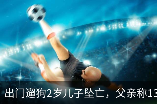 出门遛狗2岁儿子坠亡，父亲称13万丧葬费已对得起孩子，指责妻子带媒体去墓地是博流量；母亲含泪发声