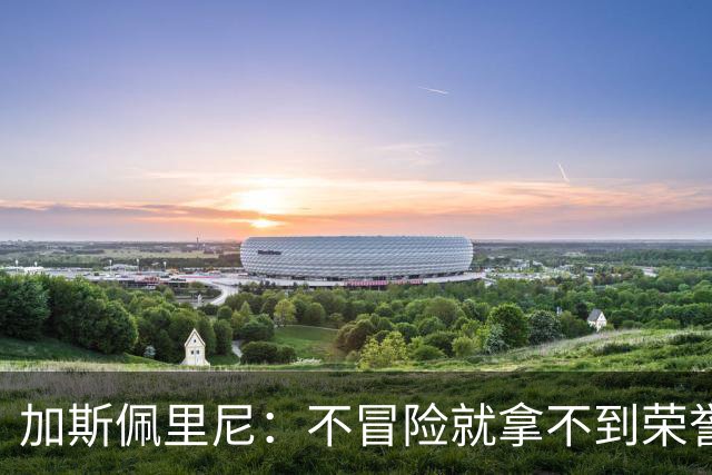 加斯佩里尼：不冒险就拿不到荣誉；罗马能与意甲任何球队过招